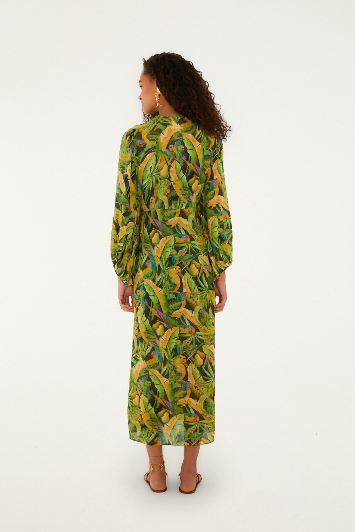 Forest Green Parrots Long Sleeve Dress - FARM Rio PARROTS FOREST GREEN